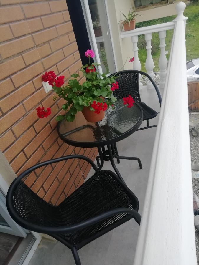 Villa Mate & Villa Luka Ureki Eksteriør billede