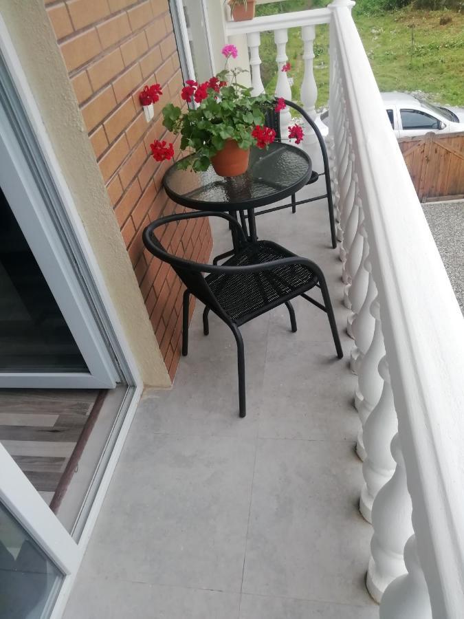 Villa Mate & Villa Luka Ureki Eksteriør billede